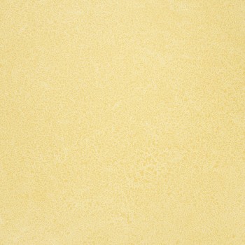 Novoflor Extra SPARKLE