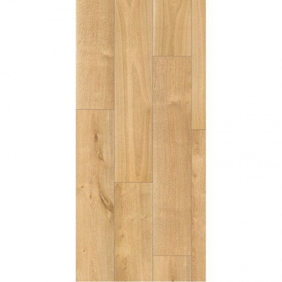 Vinyl  Rocko R066 Sculpta, HS CLASS 34