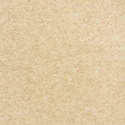 Novoflor-Standard-VIRGO   2805-6