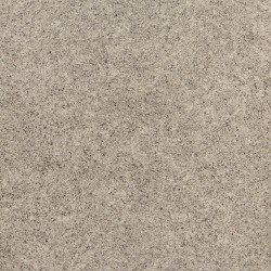 Novoflor-Standard-VIRGO-2805-9